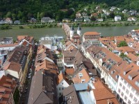  Die Altstadt und der Neckar